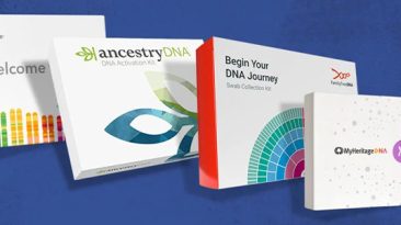 Best DNA Testing Kits