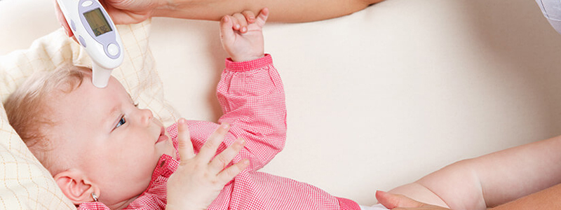 The 5 Best Thermometer for Infants